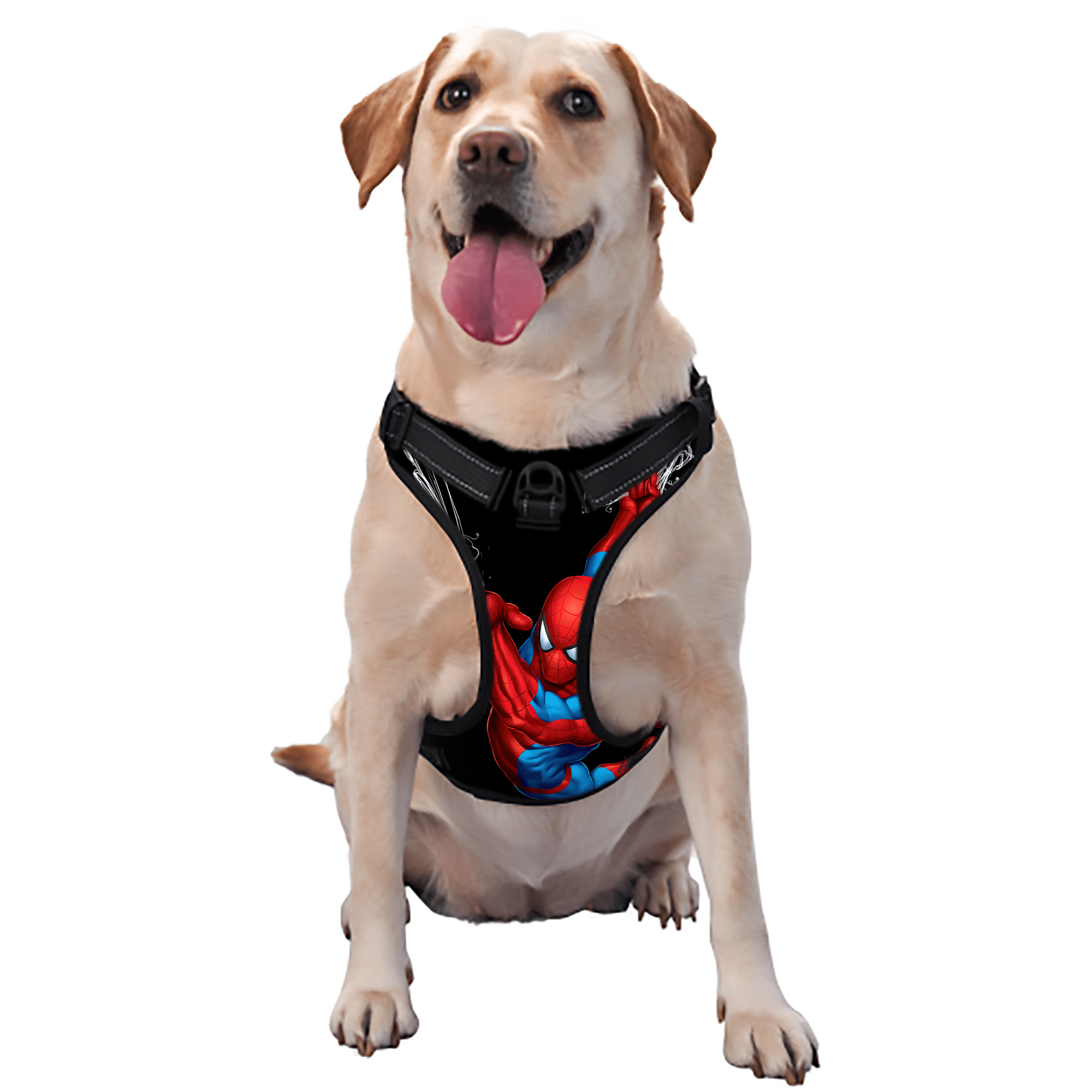 （画像用） Spider Man スパイダーマン ペット用ハーネス